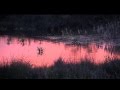 Red Natura: proyecto Life + Infonatur