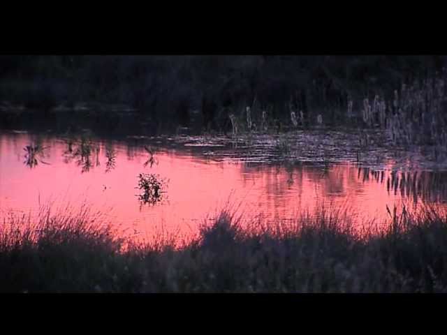 Red Natura: proyecto Life + Infonatur