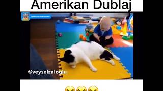 Veysel Zaloğlu - ateist kedi Amerikan dublaj