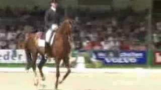 Dressage- Nobodys Listening