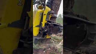 How To See The Precise Cut Of The Harvester 1270G Sword #Harvester #Johndeere #Wood #Viral #Tree