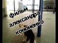 Видео вокзальный карузо.mpg