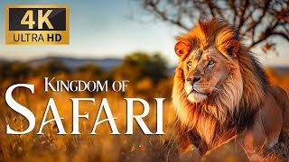 Королевство Сафари 4K 🐾 Discovery Relaxation Wildlife Расслабляющая Фортепианная Музыка