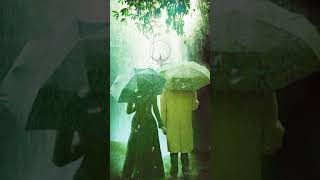 Chandrolsavam Movie Romantic Statutathethum Thennale Song Status Video