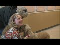 Dog Rescued, Survived Fall Off 200-foot Cliff