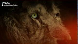 Vaughn Benjamin and The Lion of JudaH #AkaeBeka #XiXgonDubplate #RiseInPeaceKing #Midnite
