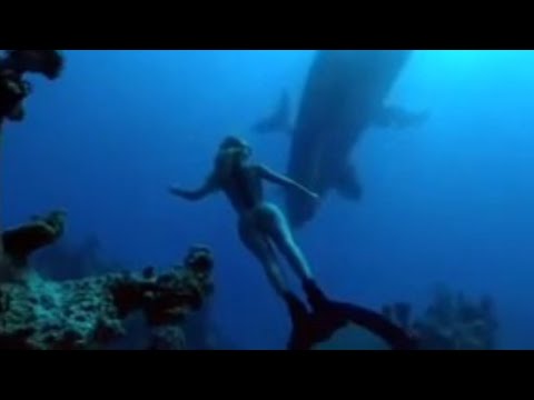 Amazing swimming with humpback mother calf- Diving With Whales