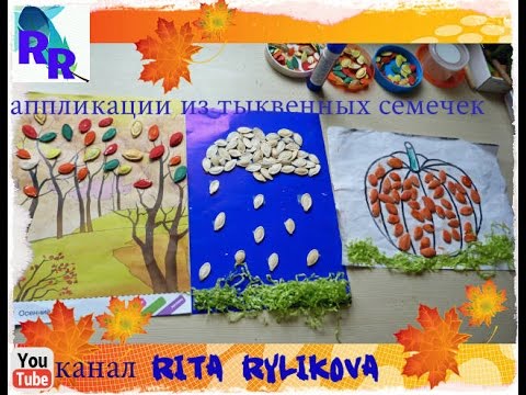 Аппликация из тыквенных Аппликация из тыквенных