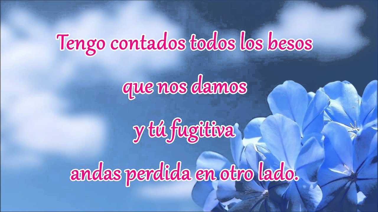 DONDE ESTA EL AMOR LETRA donde esta el amor letra: