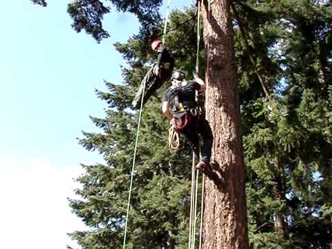 high angle rope rescue download high angle rope rescue download