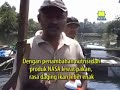 image Cara Meningkatkan Kualitas Panen Ikan Nila Dan Ikan Mas