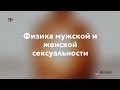 Физика мужской и женской сексуальности Физика мужской и женской сексуальности