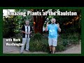 Plant Masters with Mark Weathington - JC Raulston Arboretum - Ep10