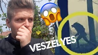Farkasember Nyomában Életveszélyes Körülmények