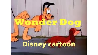 Wonder Dog Disney cartoon