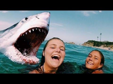 Селфи за секунду до смерти Селфи за секунду до смерти