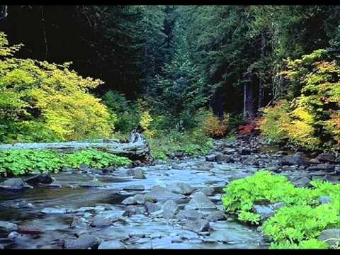Santiam Video