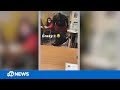 Video shows California substitute teacher slamming student to ground