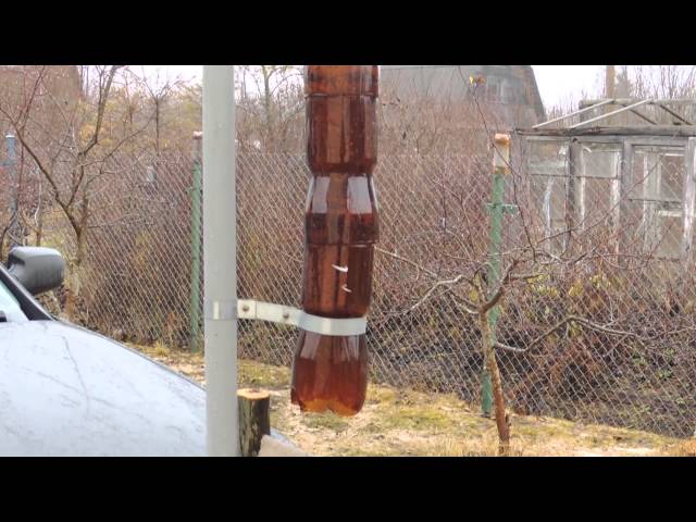 Водосточная труба из пластиковых бутылок своими руками 97