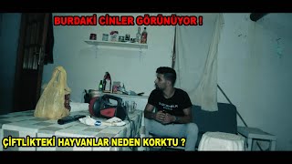 CİNLERİN SAHİPLENDİĞİ ÇİFTLİKTE BİR GECE ! - Paranormal Olaylar