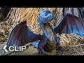 Feeding A Dragon Movie Clip - Eragon (2006)