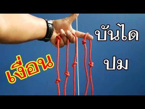 เงื่อนลูกเสือ : บันไดปม