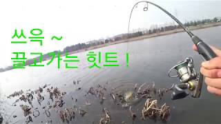 ^^지금까지 이런 잉어낚시는 없었다 ~ 가넷 입니다