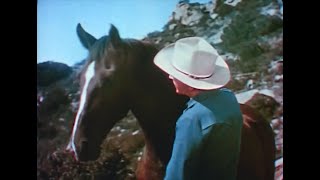 Wildfire The Story Of A Horse 1945 Clic Color Western Cowboy Movie No Ads