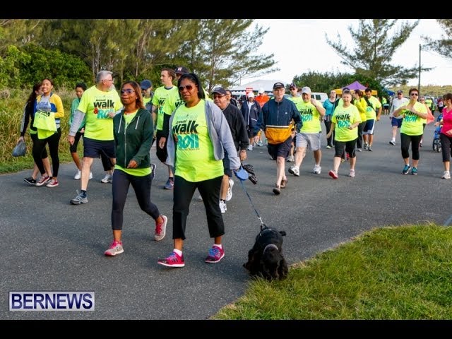 WindReach Walk & Roll, Mar 22 2014