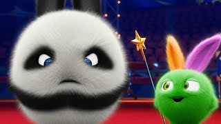 Sunny Bunnies | Big boo the Panda | COMPILATION | Videos For Kids