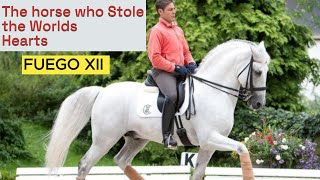 Fuego Xii The Horse Who Made The World Fall In Love