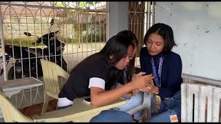 Film Ttl Group 3