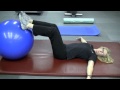 Stability Ball Hamstring Curl Exercise by Laurie Nuyens