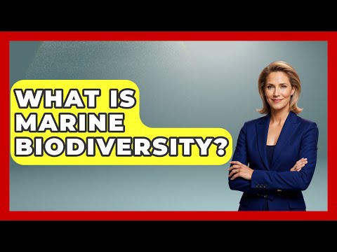 What Is Marine Biodiversity? | The Marine Life Explorer