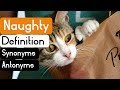 Naughty Pronunciation | Naughty Definition | Naughty Synonyms | Naughty Antonyms