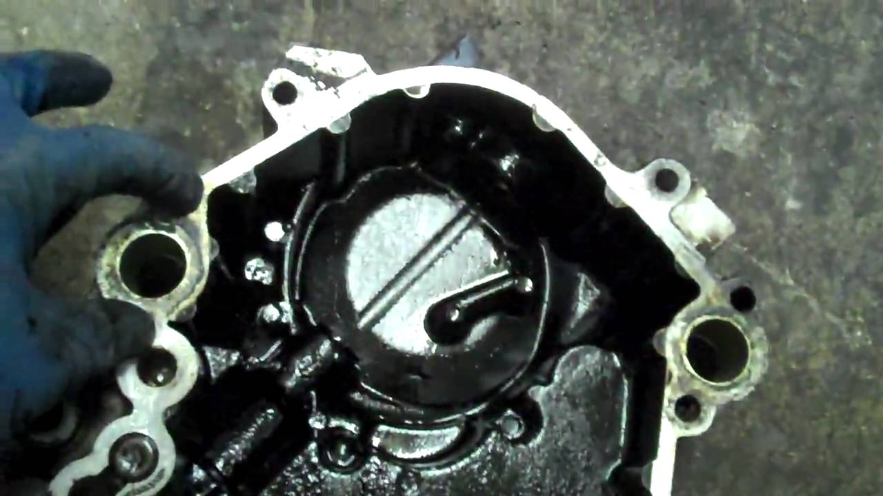 Ford f150 water pump noise #1