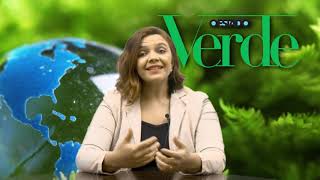 Sustentabilidade 4.0: você conhece este conceito?