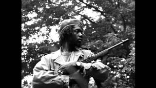 Watch Peter Tosh One Love video