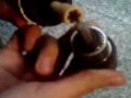 Segundo tutorial como hacer un torno con una miniprimer