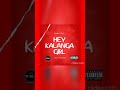Shaba Stele-Hey Kalanga Girl (TXI's Rework story)