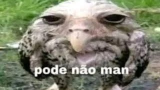 Video Fodase De Dark Souls 2