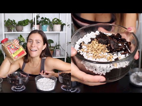 Potting Soil Mixture for Indoor Plants | Indoor Plant Soil Mix