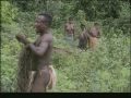 pygmy