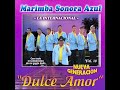 Marimba Sonora Azul Vol 16 Internacional L Grimas De S images Marimba Sonora Azul Vol 16 Internacional L Grimas De S