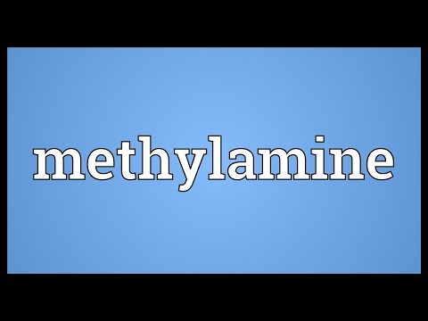 Header of methylamine