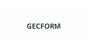 O GECFORM EM PERSPECTIVA