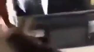 Dinazor Kostümü Ile Köpek Korkutma