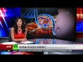 Junk food creates congenital DNA defects