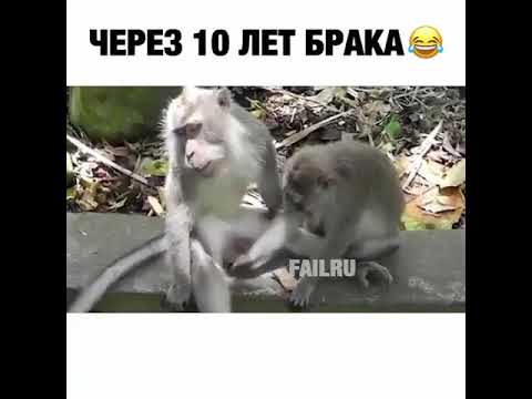 Секс После 20 Лет Совместной Жизни