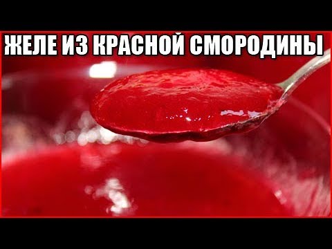 ЖЕЛЕ ИЗ КРАСНОЙ СМОРОДИНЫ НА ЗИМУ ЖЕЛЕ ИЗ КРАСНОЙ СМОРОДИНЫ НА ЗИМУ